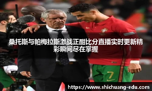 桑托斯与帕梅拉斯激战正酣比分直播实时更新精彩瞬间尽在掌握